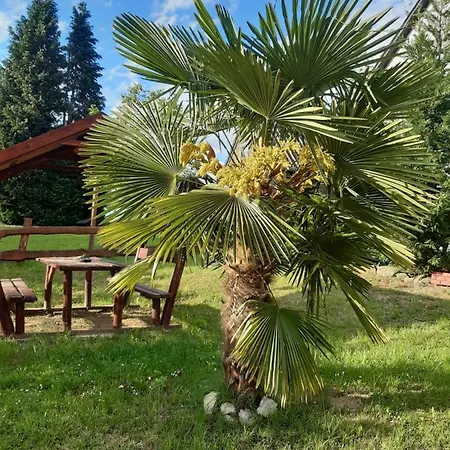 Palma Vendeghaz Holiday home
