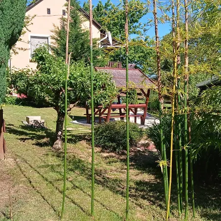 Palma Vendeghaz Holiday home