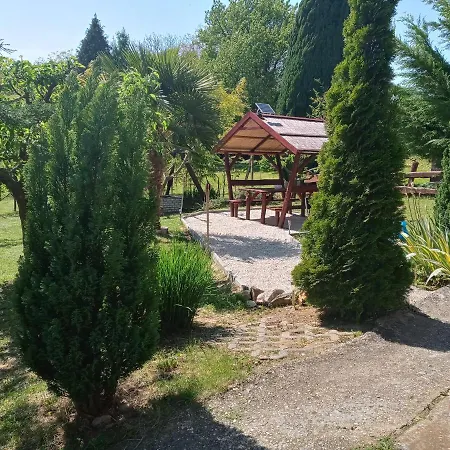 Palma Vendeghaz *